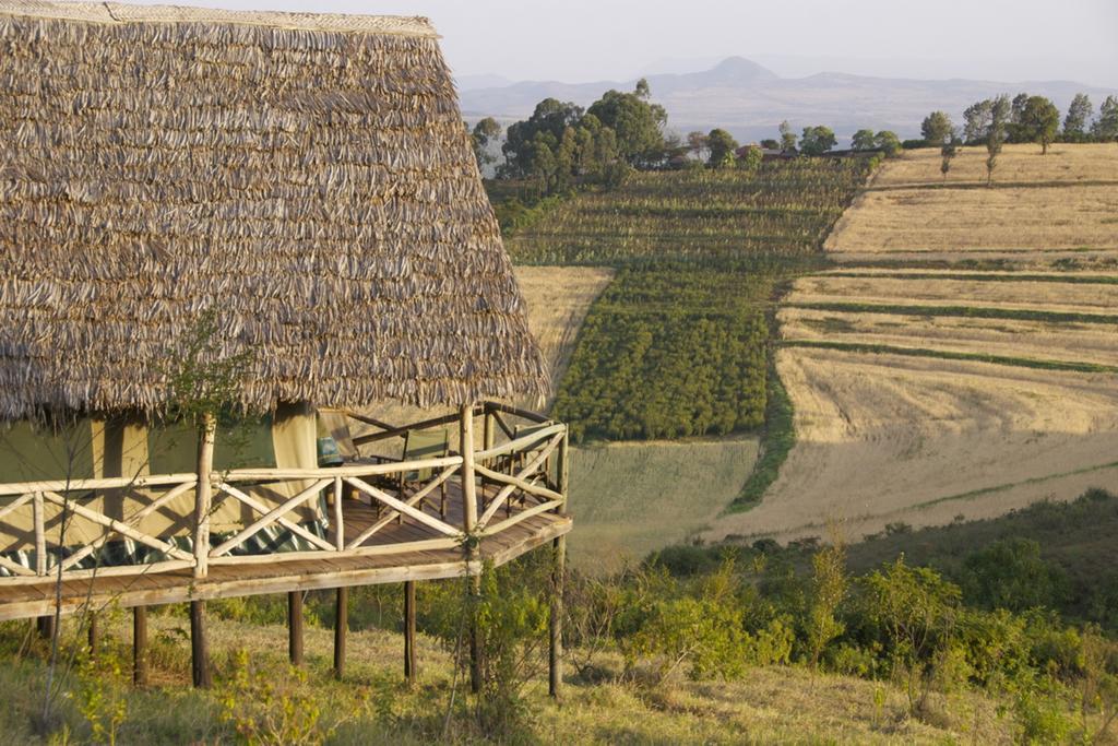 Rhotia Valley Tented Lodge And Children'S Home Karatu Værelse billede